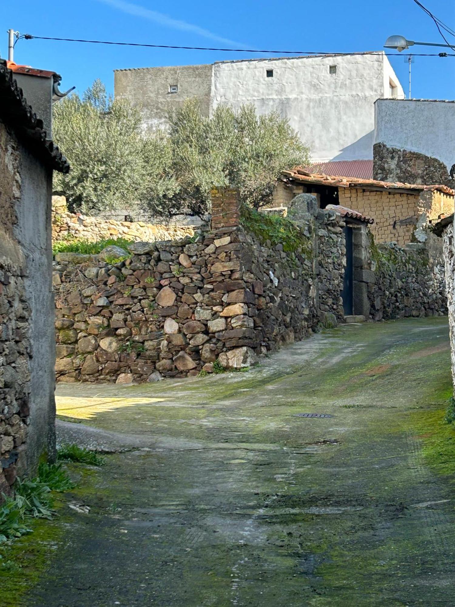 Casa Rural La Manzanilla Salvatierra de Santiago Exteriér fotografie